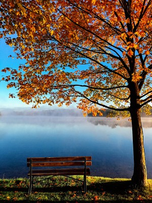 Bench By The Lake_OSG